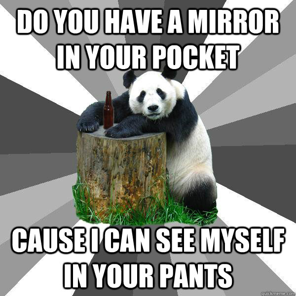 DO YOU HAVE A MIRROR IN YOUR POCKET CAUSE I CAN SEE MYSELF IN YOUR PANTS  Pickup-Line Panda