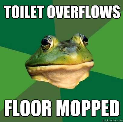 toilet overflows floor mopped  Foul Bachelor Frog