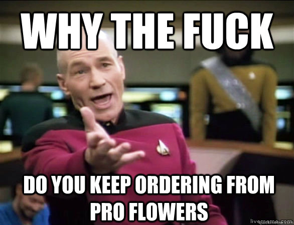 why the fuck do you keep ordering from Pro Flowers  Annoyed Picard HD