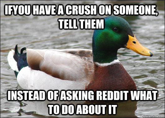 ifyou have a crush on someone, tell them instead of asking reddit what to do about it  Actual Advice Mallard