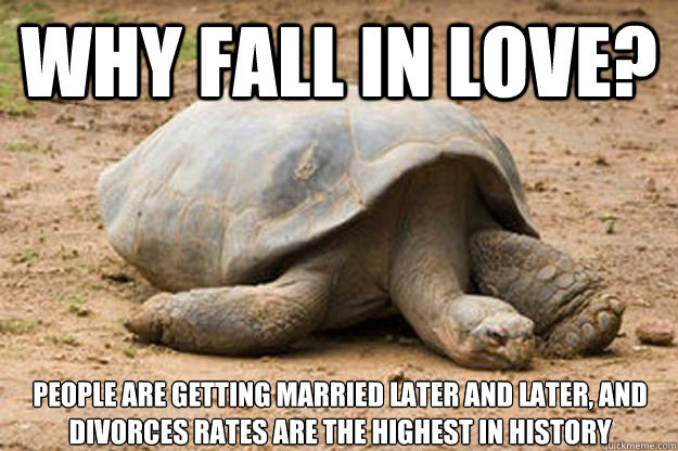 why fall in love? people are getting married later and later, and divorces rates are the highest in history  Depression Turtle