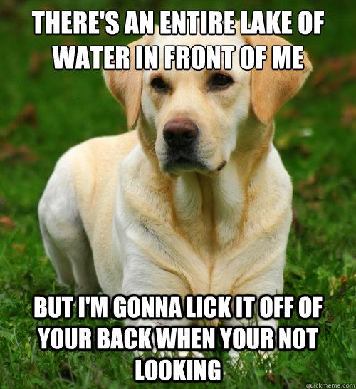 There's an entire lake of water in front of me But I'm gonna lick it off of  your back when your not looking - There's an entire lake of water in front of me But I'm gonna lick it off of  your back when your not looking  Dog Logic