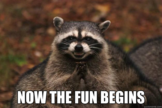  Now the fun begins  Evil Plotting Raccoon