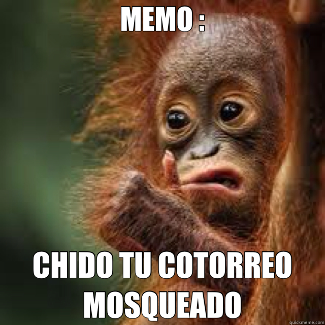 MEMO : CHIDO TU COTORREO MOSQUEADO - MEMO : CHIDO TU COTORREO MOSQUEADO  memo