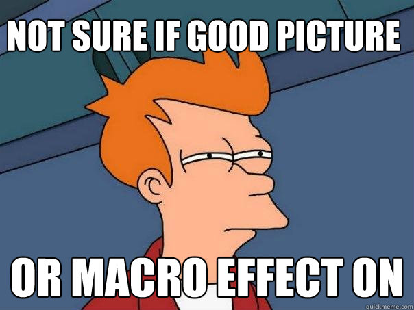 Not sure if good picture  or macro effect on   Futurama Fry