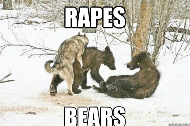 rapes bears  Good Guy Insanity Wolf