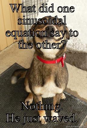 WHAT DID ONE SINUSOIDAL EQUATION SAY TO THE OTHER? NOTHING. HE JUST WAVED. Good Dog Greg