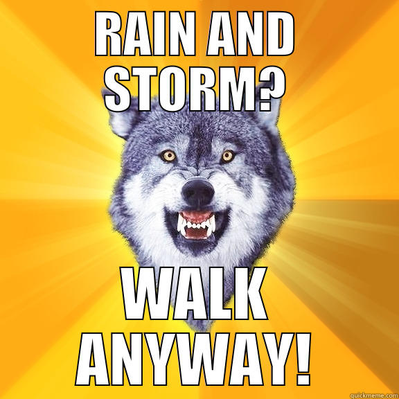 RAIN AND STORM? WALK ANYWAY! Courage Wolf