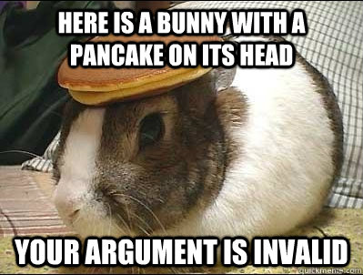 Here is a bunny with a pancake on its head Your argument is invalid - Here is a bunny with a pancake on its head Your argument is invalid  Bunny With Pancake On Its Head