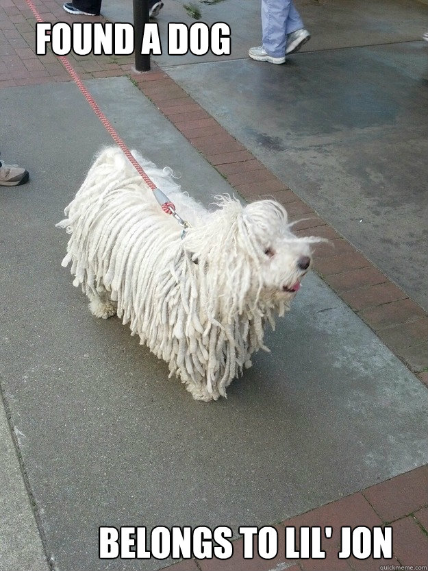 FOUND A DOG BELONGS TO LIL' JON  lil jon dog