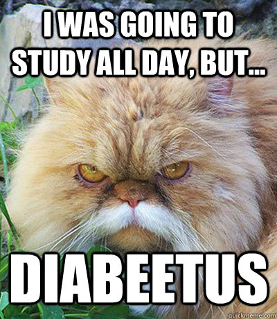 I was going to study all day, but... Diabeetus  Diabeetus Cat