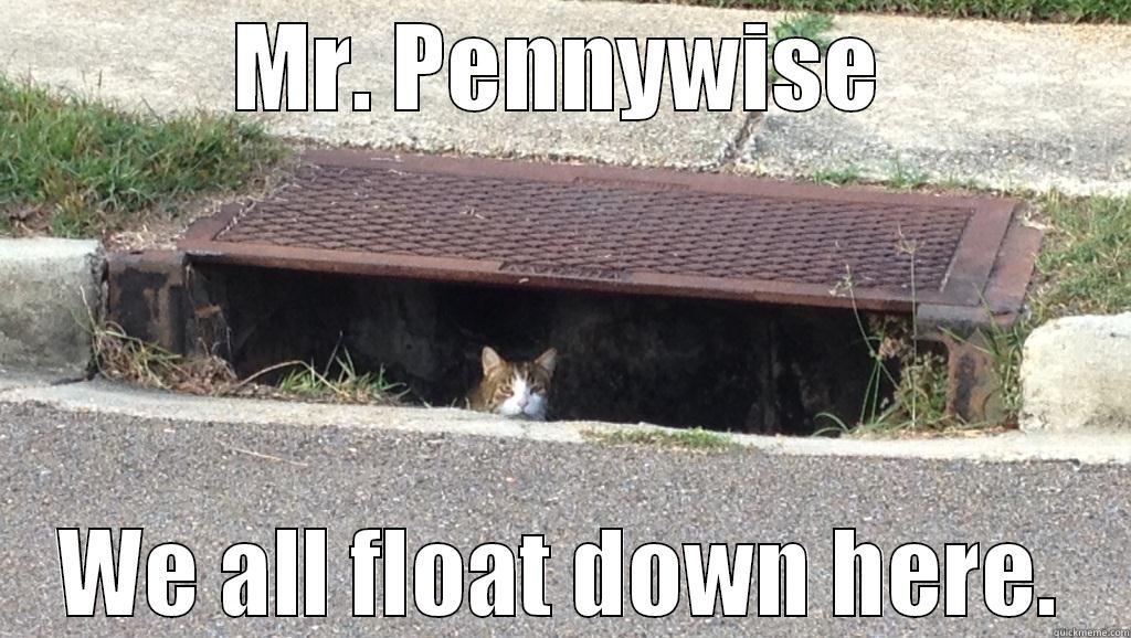 Sewer Cat quickmeme