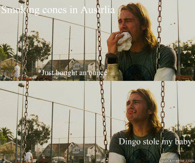 Smoking cones in Austrlia Dingo stole my baby *Just bought an ounce  First World Stoner Problems