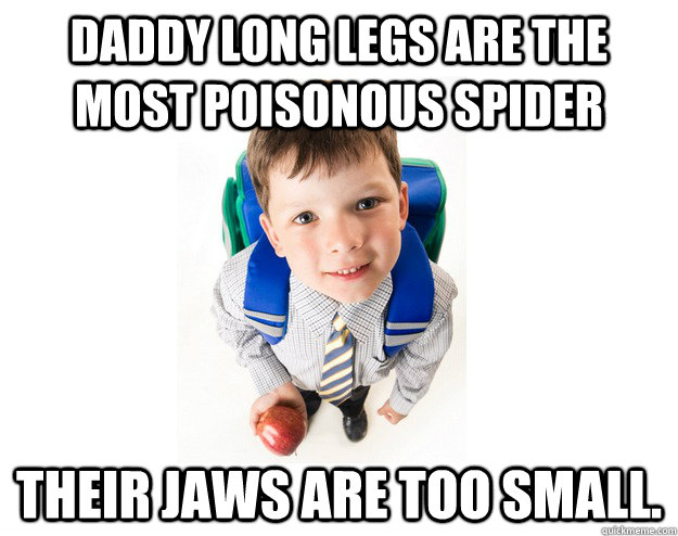 Daddy long legs are the most poisonous spider Their jaws are too small.  Lying School Kid