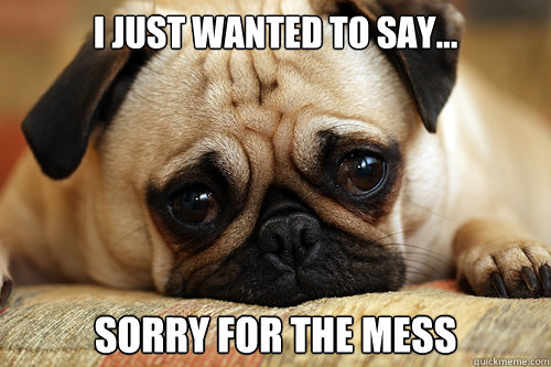 I Just Wanted To Say... sorry for the mess  sad pug