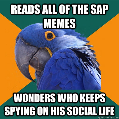 Reads all of the SAP Memes  Wonders who keeps spying on his social life - Reads all of the SAP Memes  Wonders who keeps spying on his social life  Paranoid Parrot