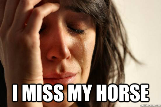 I miss my horse   First World Problems