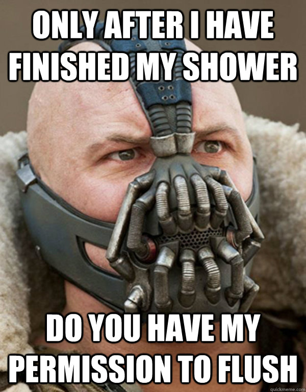Only after i have finished my shower  do you have my permission to flush  Bane