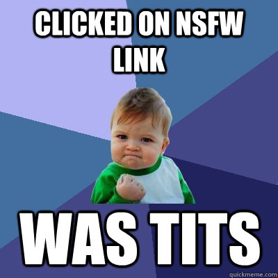 Clicked on NSFW link Was tits  Success Kid
