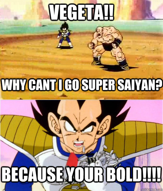 Vegeta!! why cant I go super saiyan?  BECAUSE YOUR BOLD!!!!  