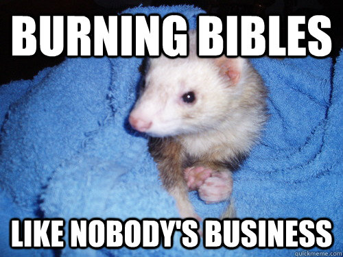 burning bibles like nobody's business  