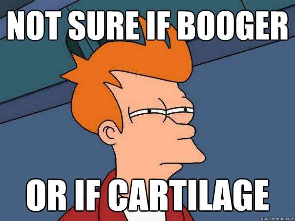 Not sure if booger Or If cartilage  Futurama Fry