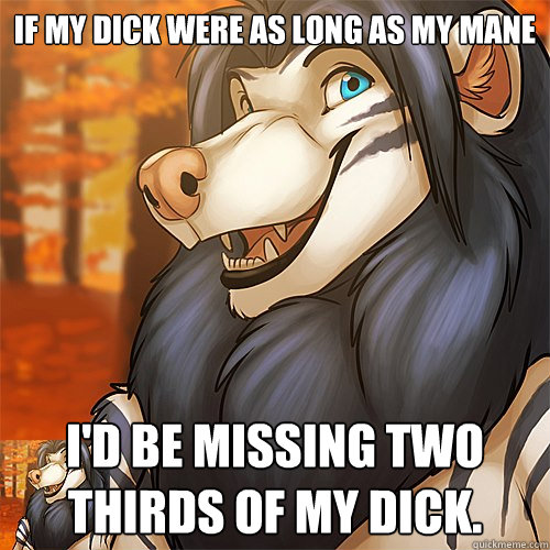 If my dick were as long as my mane I'd be missing two thirds of my dick.  