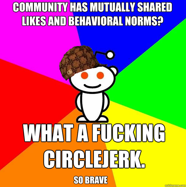 Community has mutually shared likes and behavioral norms? What a fucking circlejerk. So brave  Scumbag Redditor