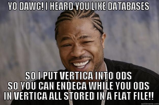 Yo dawg you like vertica - YO DAWG! I HEARD YOU LIKE DATABASES SO I PUT VERTICA INTO ODS SO YOU CAN ENDECA WHILE YOU ODS IN VERTICA ALL STORED IN A FLAT FILE!! Xzibit meme