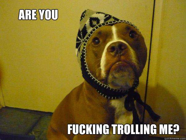 Are you fucking trolling me?  