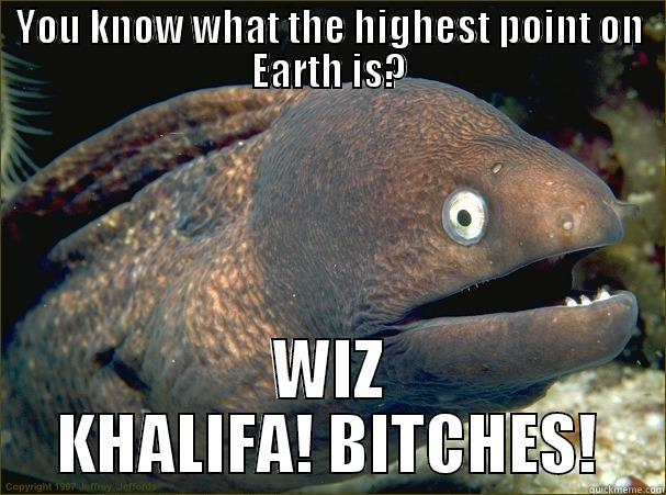 YOU KNOW WHAT THE HIGHEST POINT ON EARTH IS? WIZ KHALIFA! BITCHES! Bad Joke Eel