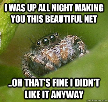 i was up all night making you this beautiful net ..oh that's fine i didn't like it anyway - i was up all night making you this beautiful net ..oh that's fine i didn't like it anyway  Misunderstood Spider