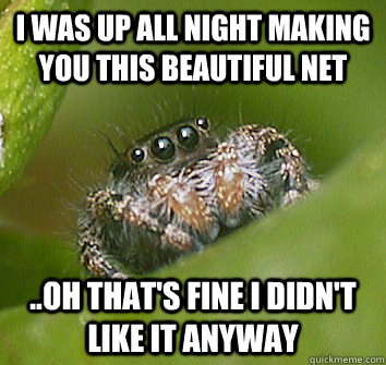 i was up all night making you this beautiful net ..oh that's fine i didn't like it anyway  Misunderstood Spider