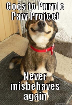 GOES TO PURPLE PAW PROJECT NEVER MISBEHAVES AGAIN Good Dog Greg