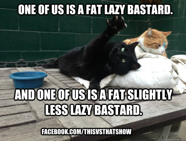 One of us is a fat lazy bastard. And one of us is a fat slightly less lazy bastard. facebook.com/thisvsthatshow - One of us is a fat lazy bastard. And one of us is a fat slightly less lazy bastard. facebook.com/thisvsthatshow  Two Cats.