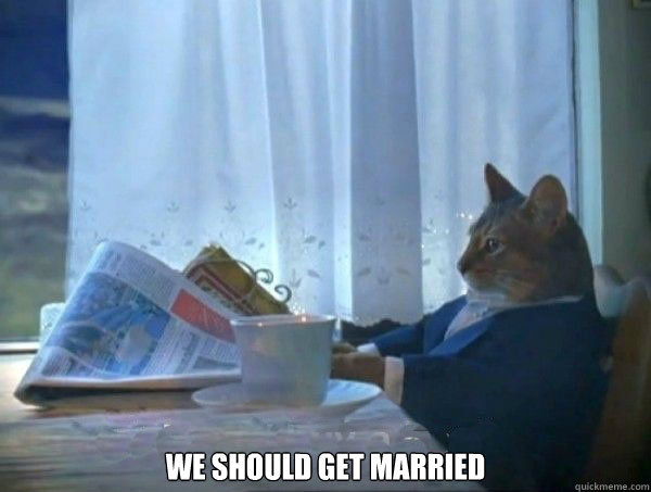  We should get married -  We should get married  morning realization newspaper cat meme