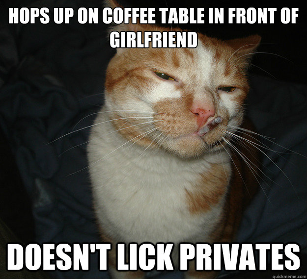 Hops up on coffee table in front of girlfriend Doesn't lick privates  Cool Cat Craig