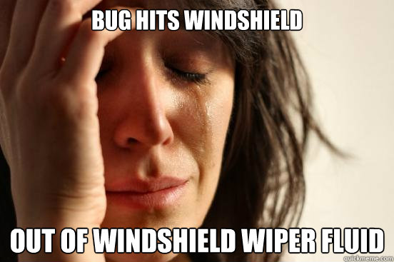 Bug Hits Windshield Out of Windshield Wiper Fluid  First World Problems