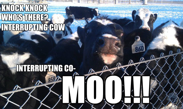 Knock Knock Who's There? Interrupting Cow Interrupting Co- MOO!!! - Knock Knock Who's There? Interrupting Cow Interrupting Co- MOO!!!  Interuppting Cow