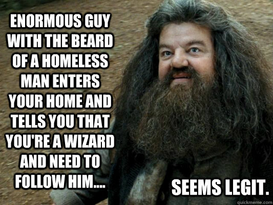 Enormous guy with the beard of a homeless man enters your home and tells you that you're a wizard and need to follow him.... seems legit. - Enormous guy with the beard of a homeless man enters your home and tells you that you're a wizard and need to follow him.... seems legit.  Hagrid