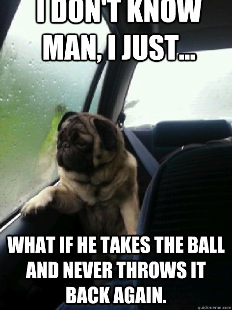 i don't know man, i just... what if he takes the ball and never throws it back again.  Introspective Pug