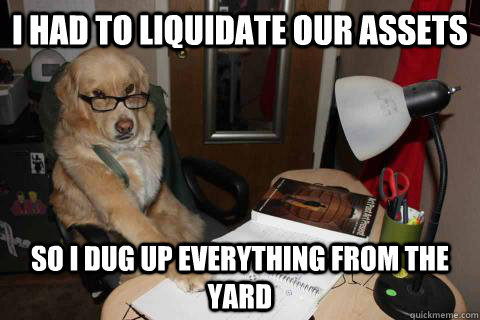 I had To liquidate our assets so i dug up everything from the yard  Financial Advice Dog