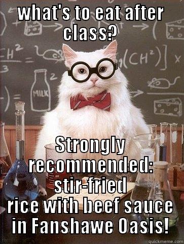 WHAT'S TO EAT AFTER CLASS? STRONGLY RECOMMENDED: STIR-FRIED RICE WITH BEEF SAUCE IN FANSHAWE OASIS! Chemistry Cat