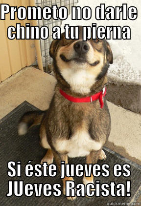 PROMETO NO DARLE CHINO A TU PIERNA SI ÉSTE JUEVES ES JUEVES RACISTA! Good Dog Greg