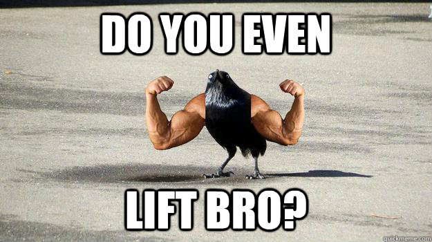 Do you even lift bro?  