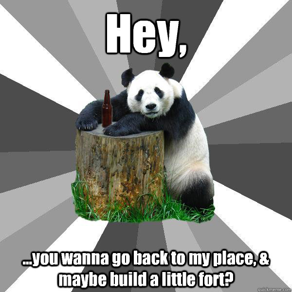 Hey, ...you wanna go back to my place, & maybe build a little fort?  Pickup-Line Panda