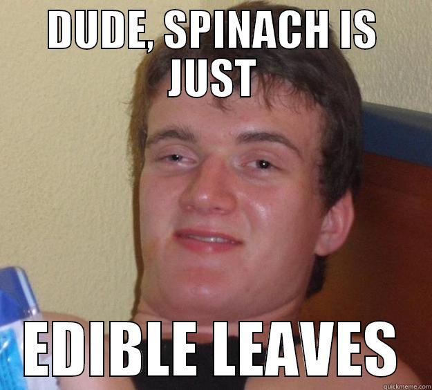 It's true... - DUDE, SPINACH IS JUST EDIBLE LEAVES 10 Guy