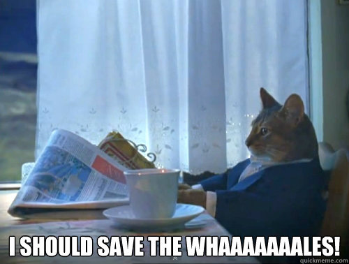  I should save the WHAAAAAAALES!  The One Percent Cat