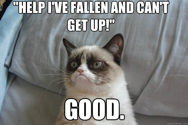 good help i ve fallen and can t get up grumpy cat good quickmeme