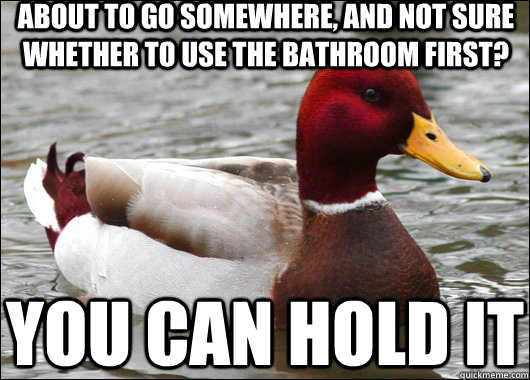 About to go somewhere, and not sure whether to use the bathroom first? You can hold it  Malicious Advice Mallard